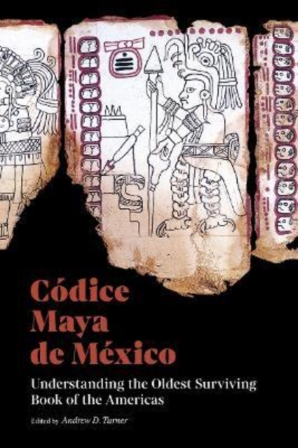 Codice Maya de Mexico