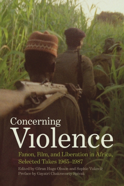 Concerning Violence