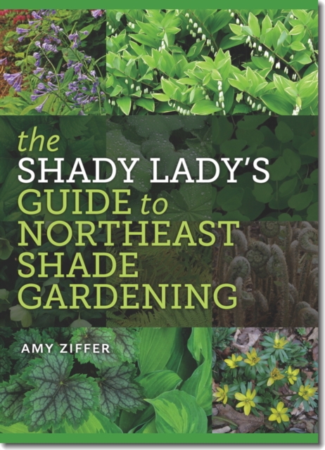 Shady Lady's Guide to Northeast Shade Gardening
