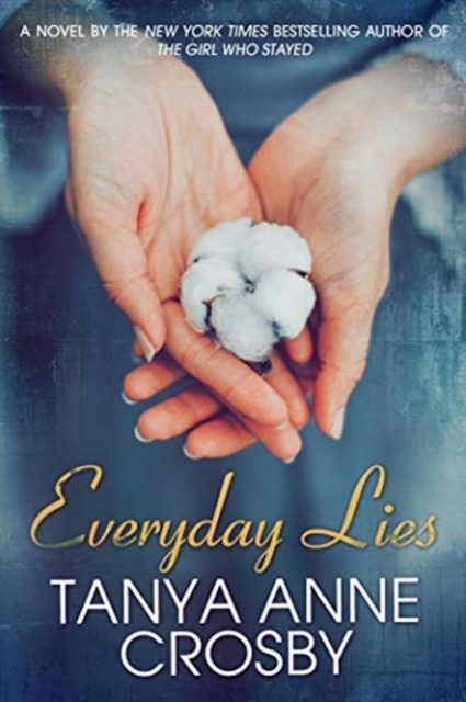 EVERYDAY LIES A NOVEL