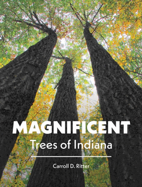 Magnificent Trees of Indiana