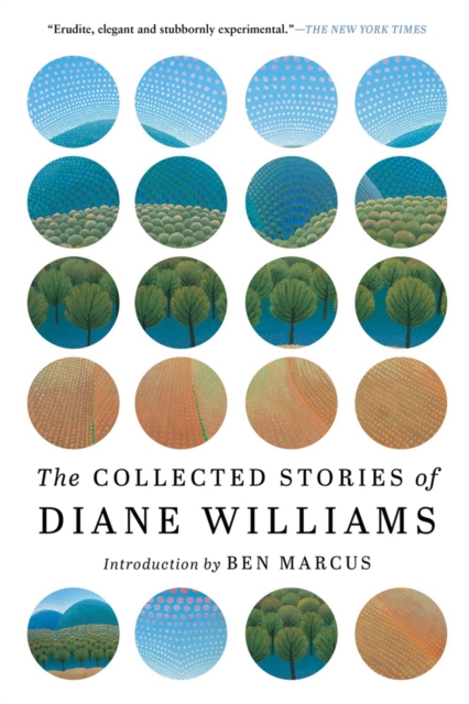 The Collected Stories of Diane Williams