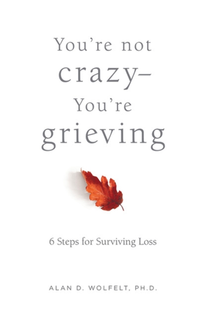 You’re Not Crazy—You’re Grieving: