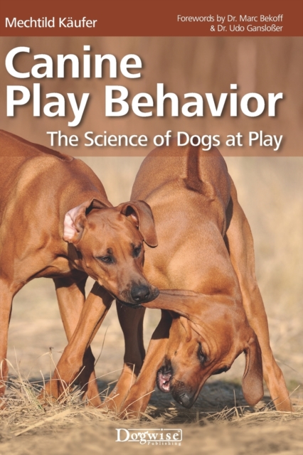 Canine Play Behavior