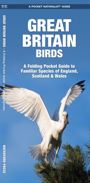 Great Britain Birds, 2nd Ed