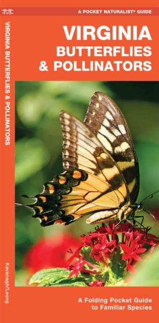 Virginia Butterflies & Pollinators