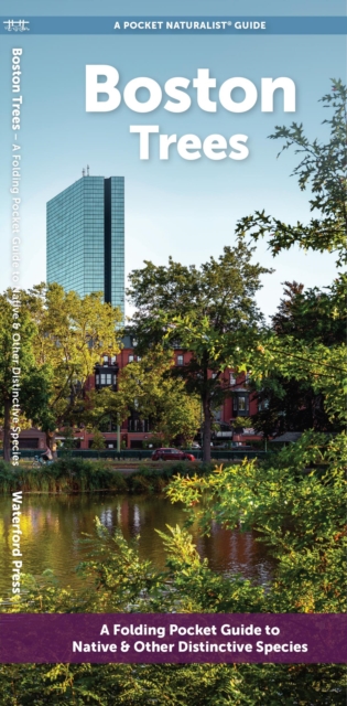 Boston Trees