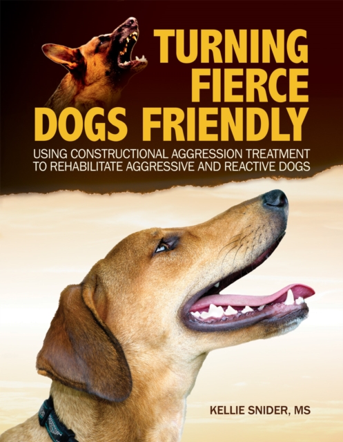 Turning Fierce Dogs Friendly