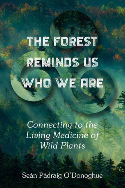 Forest Reminds Us Who We Are