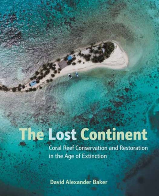 Lost Continent