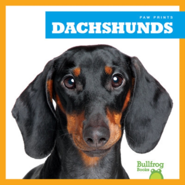 Dachshunds