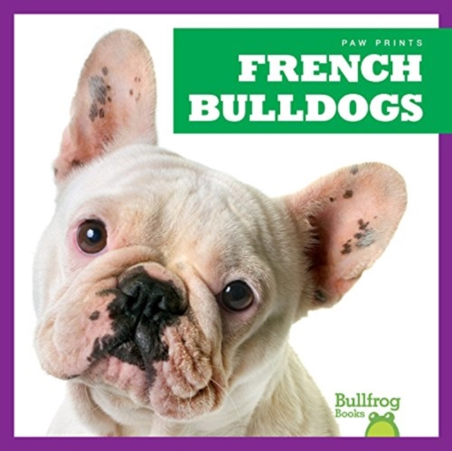 French Bulldogs