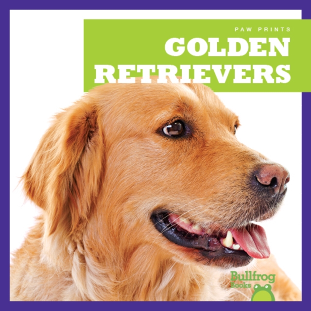 Golden Retrievers