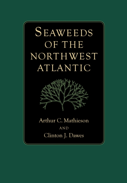Seaweeds of the Northwest Atlantic