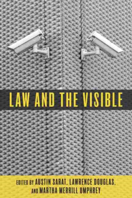 Law and the Visible