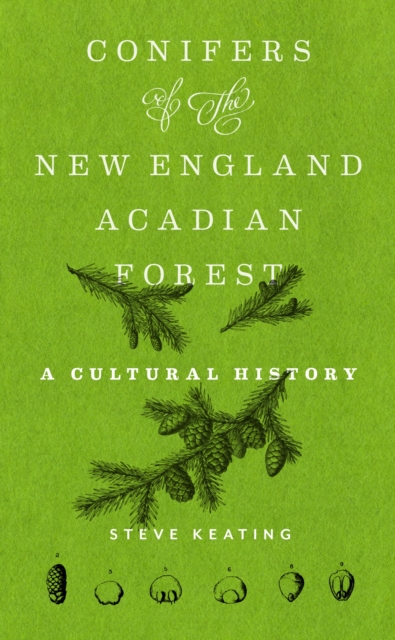 Conifers of the New England–Acadian Forest