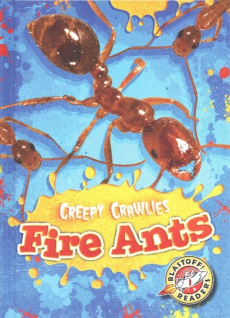 Fire Ants