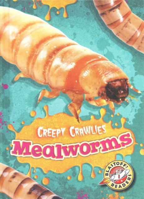 Mealworms