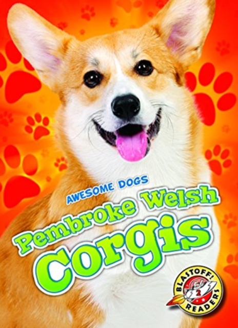 Pembroke Welsh Corgis