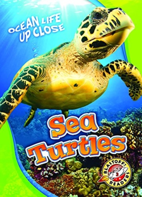 Sea Turtles