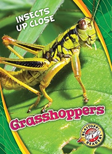 Grasshoppers