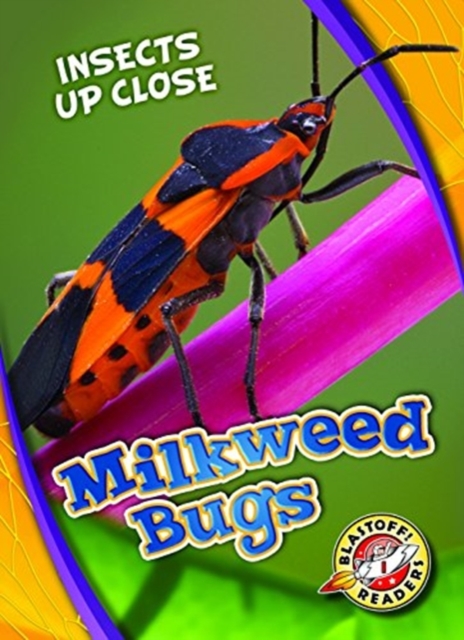 Milkweed Bugs