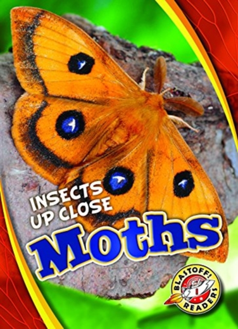 Moths