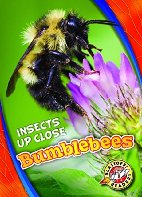 Bumblebees