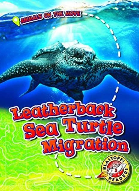 Leatherback Sea Turtle Migration