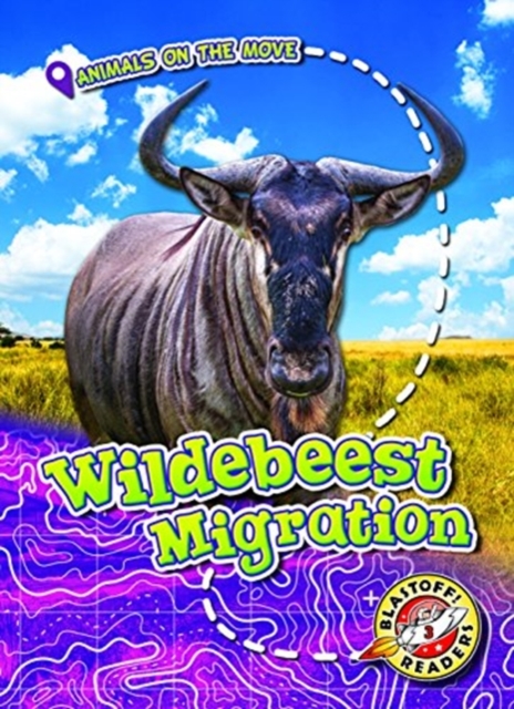 Wildebeest Migration