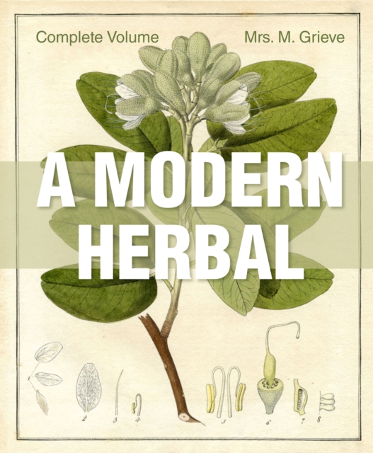 Modern Herbal