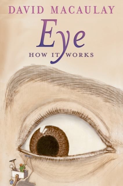 Eye: How It Works