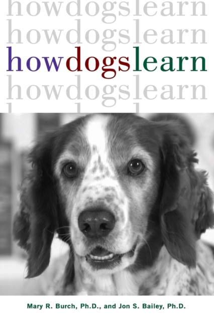 How Dogs Learn