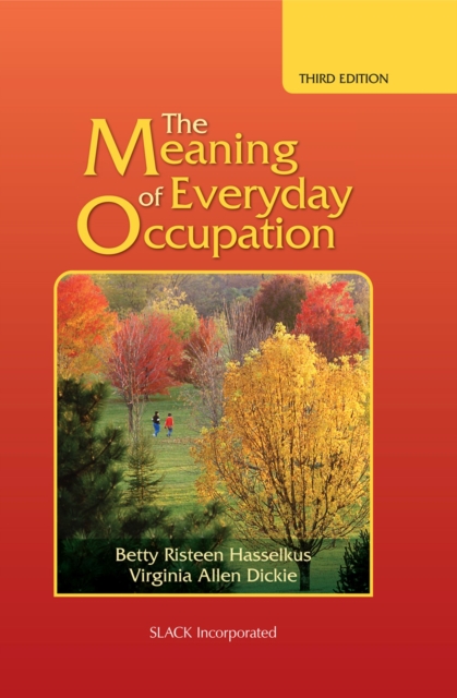 Meaning of Everyday Occupation