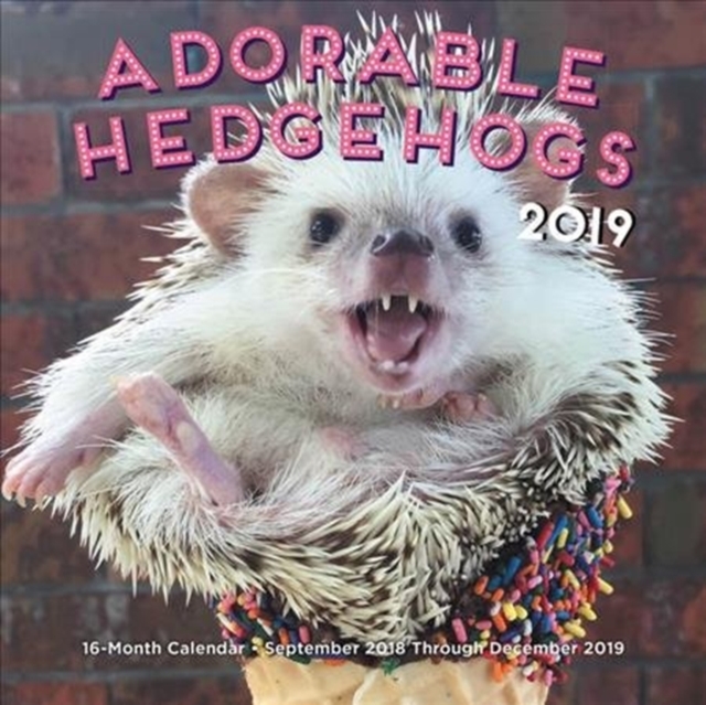 Adorable Hedgehogs Mini 2019