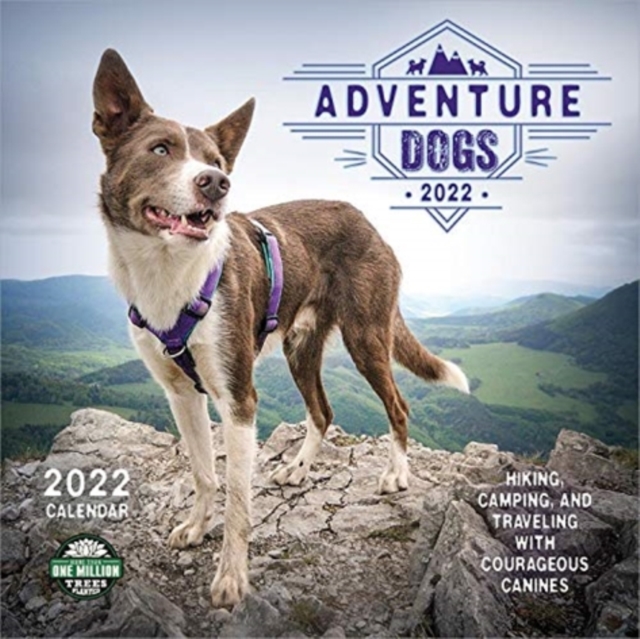 ADVENTURE DOGS SQUARE WALL CALENDAR 2022