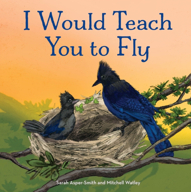 I Would Teach You to Fly