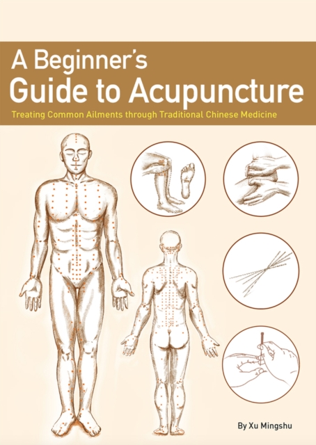 Beginner's Guide to Acupuncture