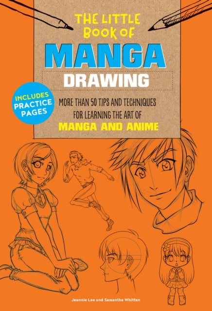 Little Book of Manga Drawing