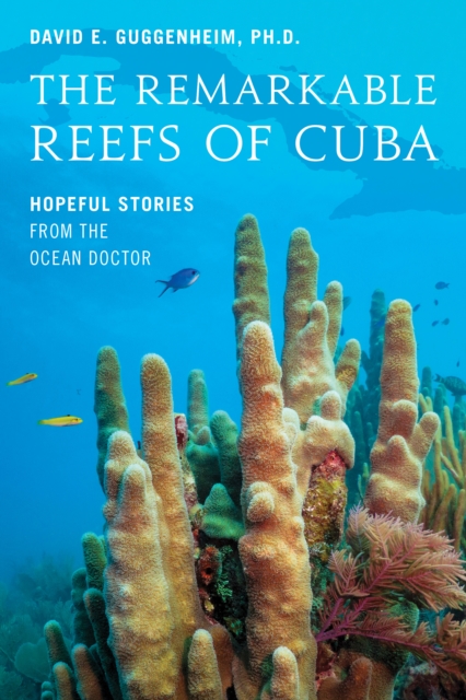 Remarkable Reefs Of Cuba