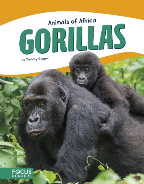 Animals of Africa: Gorillas