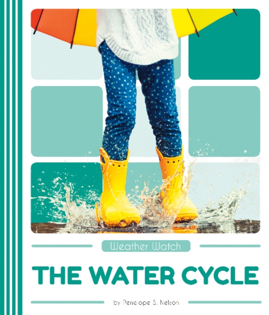 Weather Watch: The Water Cycle