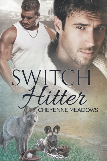 Switch Hitter Volume 3