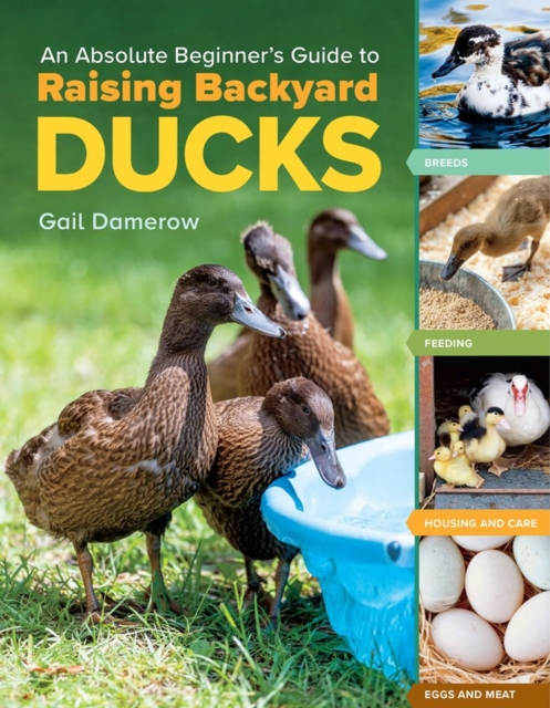 Absolute Beginner's Guide to Raising Backyard Ducks