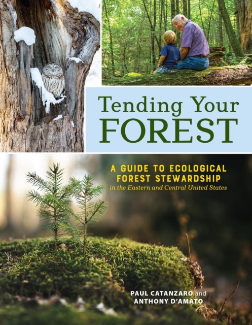 Tending Your Forest