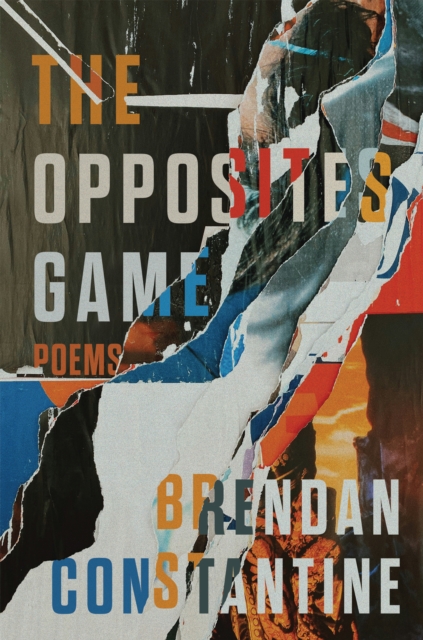 The Opposites Game