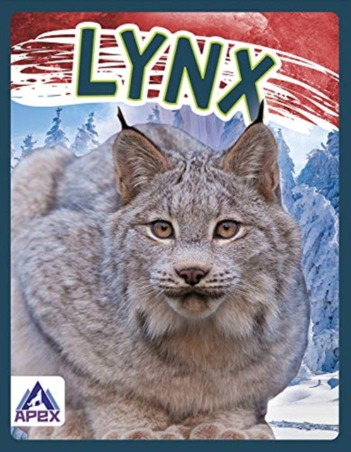 Lynx