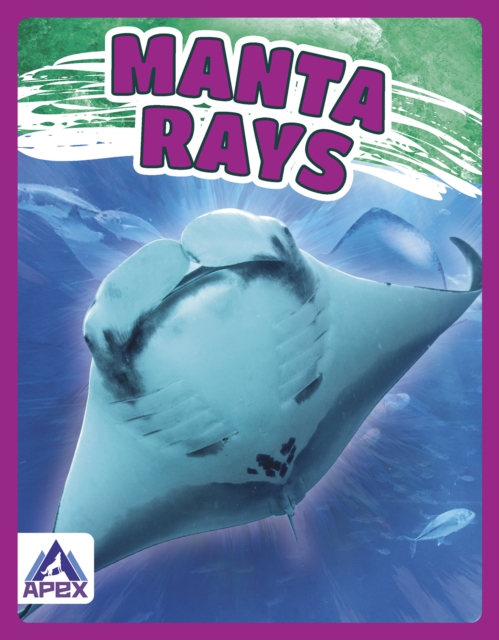 Giants of the Sea: Manta Rays