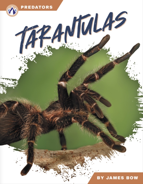 Tarantulas