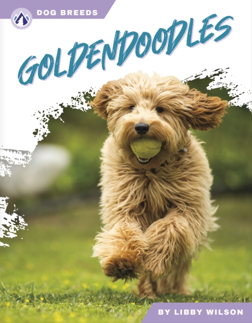 Goldendoodles